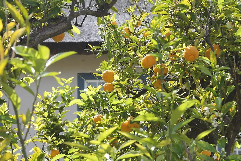 Stellendal Guest House Somerset West