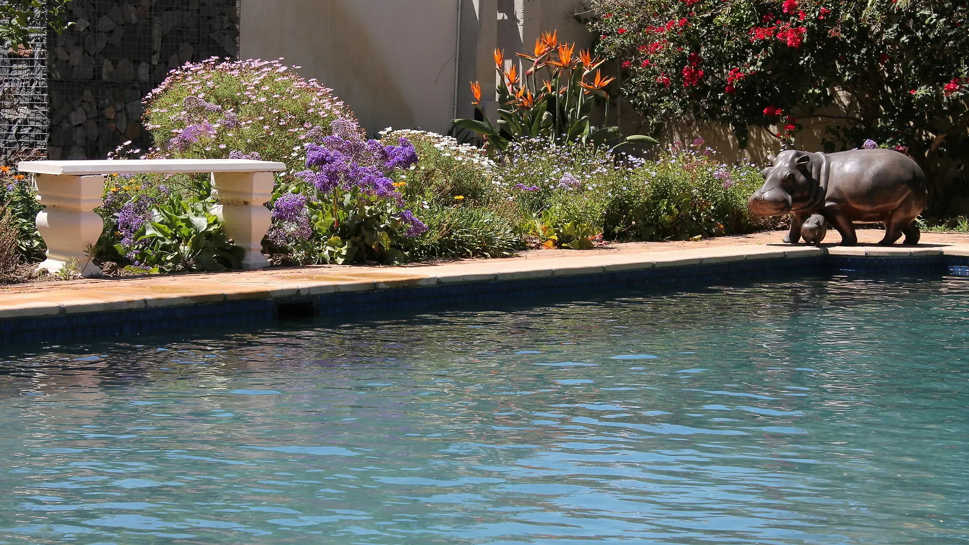 Stellendal Guest House Somerset West
